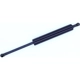 Purchase Top-Quality Lift Support by TUFF SUPPORT - 613803 pa3
