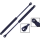 Purchase Top-Quality Lift Support by TUFF SUPPORT - 613805 pa5