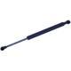 Purchase Top-Quality Lift Support by TUFF SUPPORT - 613815 pa2