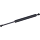 Purchase Top-Quality Lift Support by TUFF SUPPORT - 613895 pa2