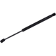Purchase Top-Quality Lift Support by TUFF SUPPORT - 613906 pa2