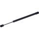 Purchase Top-Quality Lift Support by TUFF SUPPORT - 613952 pa1