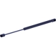 Purchase Top-Quality TUFF SUPPORT - 613967 - Back Glass Lift Support pa2