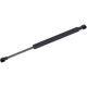Purchase Top-Quality Lift Support by TUFF SUPPORT - 614117 pa2