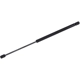 Purchase Top-Quality Lift Support by TUFF SUPPORT - 614124 pa2