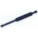 Purchase Top-Quality Lift Support by TUFF SUPPORT - 614174 pa1