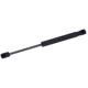 Purchase Top-Quality TUFF SUPPORT - 614218 - Trunk Lid Lift Support pa1