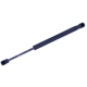 Purchase Top-Quality TUFF SUPPORT - 614310 - Hood Lift Support pa1