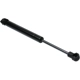 Purchase Top-Quality URO - 1299800664 - Trunk Strut pa1