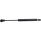 Purchase Top-Quality URO - 1299800664 - Trunk Strut pa5
