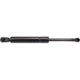 Purchase Top-Quality URO - 1638800029 - Hood Strut pa2