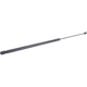 Purchase Top-Quality Lift Support by URO - 1C0823359E pa1