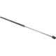 Purchase Top-Quality Lift Support by URO - 1C0823359E pa2