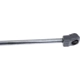 Purchase Top-Quality Lift Support by URO - 1C0823359E pa3