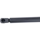 Purchase Top-Quality Lift Support by URO - 1C0823359E pa4