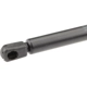 Purchase Top-Quality Lift Support by URO - 1C0827550E pa4