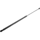 Purchase Top-Quality Lift Support by URO - 1K0823359A pa1