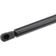 Purchase Top-Quality Lift Support by URO - 1K0823359A pa3