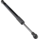 Purchase Top-Quality Lift Support by URO - 1K5827550C pa3