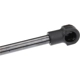 Purchase Top-Quality Lift Support by URO - 1K5827550C pa4