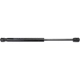 Purchase Top-Quality Lift Support by URO - 2307500036 pa5