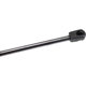 Purchase Top-Quality Lift Support by URO - 2307500036 pa6
