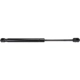 Purchase Top-Quality Lift Support by URO - 2307500036 pa7
