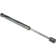 Purchase Top-Quality Lift Support by URO - 30649516 pa1