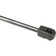 Purchase Top-Quality Lift Support by URO - 30649516 pa2