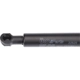 Purchase Top-Quality Lift Support by URO - 30674708 pa6