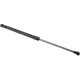 Purchase Top-Quality Lift Support by URO - 31218511 pa3