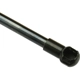 Purchase Top-Quality Lift Support by URO - 31335795 pa2