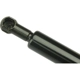 Purchase Top-Quality Lift Support by URO - 31335795 pa3