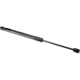 Purchase Top-Quality Lift Support by URO - 31425788 pa1