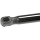Purchase Top-Quality Lift Support by URO - 31425788 pa2