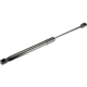 Purchase Top-Quality Lift Support by URO - 31425788 pa4