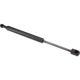 Purchase Top-Quality Lift Support by URO - 51233400352 pa1