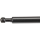 Purchase Top-Quality Lift Support by URO - 51233400352 pa2