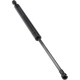 Purchase Top-Quality Lift Support by URO - 51238202688 pa3
