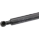 Purchase Top-Quality Lift Support by URO - 51238202688 pa5