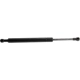 Purchase Top-Quality URO - 51241960862 - Trunk Strut pa4