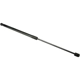 Purchase Top-Quality Lift Support by URO - 51242990136 pa1