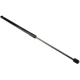 Purchase Top-Quality Lift Support by URO - 51242990136 pa2
