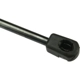 Purchase Top-Quality Lift Support by URO - 51242990136 pa4