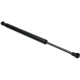 Purchase Top-Quality Lift Support by URO - 51247129194 pa1