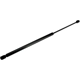 Purchase Top-Quality URO - 51247178273 - Hatch Strut pa1