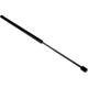 Purchase Top-Quality URO - 51247178273 - Hatch Strut pa4