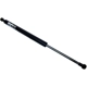 Purchase Top-Quality URO - 51248227895 - Trunk Strut pa1