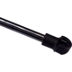Purchase Top-Quality Lift Support by URO - 5GM827550 pa3