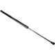 Purchase Top-Quality Lift Support by URO - 5GM827550 pa4